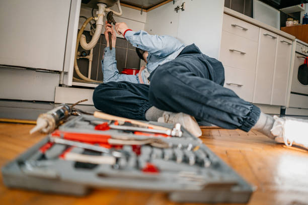 Best Clogged Drain Plumber  in Audubon, IA