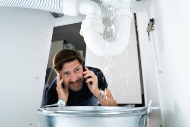 Best Sewer Line Repair  in Audubon, IA