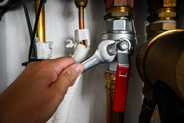 Best Septic Systems  in Audubon, IA
